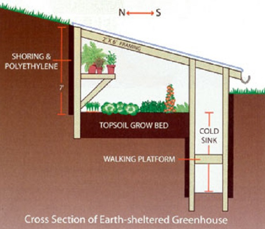 The picture shows the design for
                          an embankment greenhouse by Mike Oehler. He
                          adds a cold air ditch to the greenhouse. So he
                          can water the plants while standing and
                          harvest them.