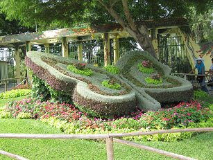 Zoo "Legendenpark" in Lima San
                          Miguel, ein weiterer Pflanzenschmetterling am
                          Eingang zum Botanischen Garten (04)