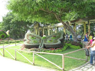 Zoo "Legendenpark" in Lima San
                          Miguel, ein weiterer Pflanzenschmetterling am
                          Eingang zum Botanischen Garten (05)