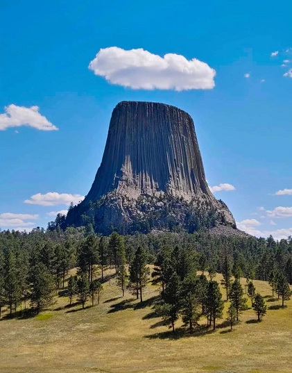 Riesenbaum in
                Wyoming ("USA") 4.11.2024: "Devils
                Tower"