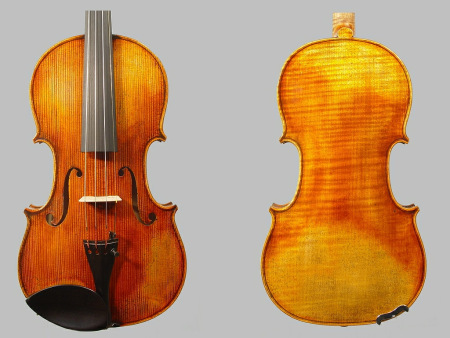 Jahresringe
                bei einer Geige: Oberseite aus Fichtenholz, Unterseite
                der Geige aus Ahornholz