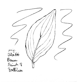 Kornelkirschbaum (Tierlibaum), Blatt