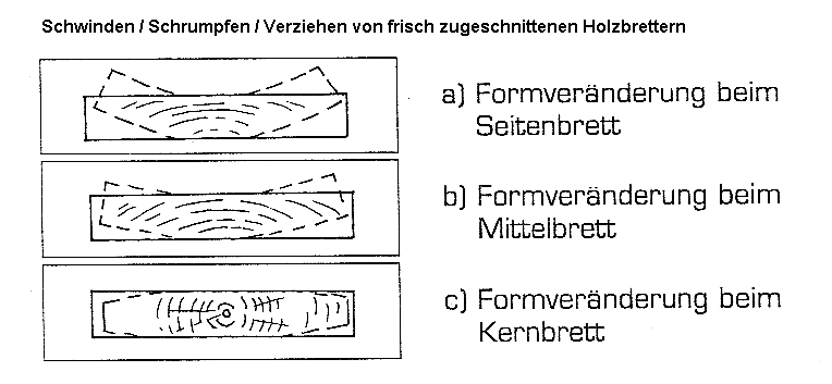 Schwinden / Schrumpfen / Verziehen von
                        frisch zugeschnittenen Holzbrettern 01:
                        Seitenbrett, Mittelbrett, Kernbrett (Dinges /
                        Worm S.2)