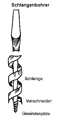 Schlangenbohrer (Dinges / Worm S.43)