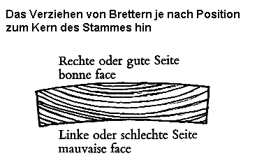Verziehen von Brettern je nach Position zum
                      Kern des Stammes (Friedli, S.8)