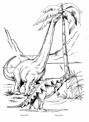 Dinosaurier: Apatosaurus und
                          Stegosaurier