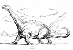 Dinosaurus: Camarasaurus 1