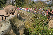 Elefantennummer am Wochenende in
                            Krefeld unter Leitung von Wolfgang Nehring