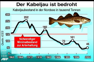 Grafik:
                    Der Kabeljau ist bedroht und seit 1983 unter dem
                    Bestand, der fr die Arterhaltung notwendig wre