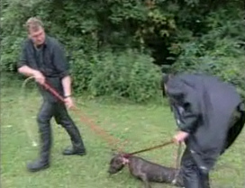 Caso Volkan,
                        Staffordshire Terrier matado [27]