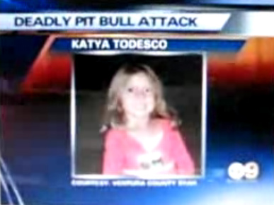 La nia Katya
                        Todesco (5 aos) de Simi Valley (California) fue
                        matada por un Pitbull en el patio de su casa
