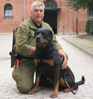 Perro guardin
                        Rottweiler (02) como perro polica [13]
