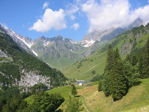 Gebirge auf
              montaner Stufe: Beispiel: Der Weg von Engelberg zum
              Surenenpass, Schweiz