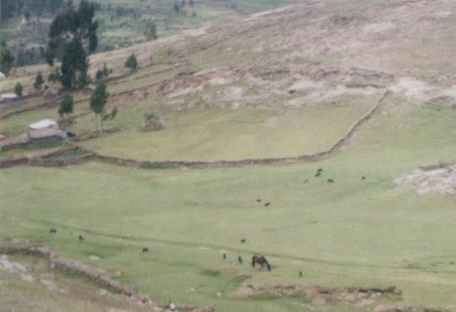 Hof und Weide mit Pferd und
                            Trockenmauern in alle Richtungen mit allen
                            Mikroklimaten in Millpo, Region Ayacucho,
                            Peru