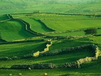 Alte
                                Trockenmauern in Irland stehen auch OHNE
                                Kiesbett gut