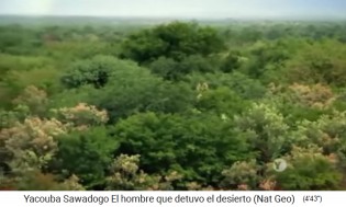 Der Wald von
                    Yacouba Sadabogo ist Schattenspender und Windschutz
                    02