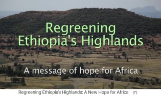 La replantacin de las llanuras altas de
                      Etiopa. Un mensaje de esperanza para frica