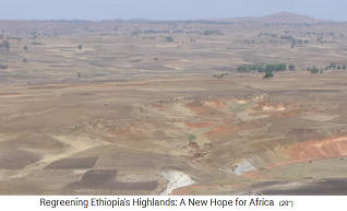 Hasta al ao 2005 el altiplano de
                    Etiopa fue un desierto