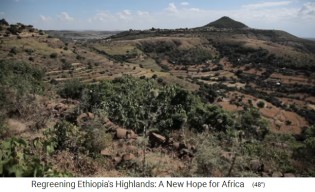Las
                      tierras altas de Etiopa (a partir de 2014) con
                      bosques, terrazas y campos.