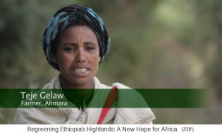 Teje Gelaw,
                      esposa de un agricultor de la provincia de Ahmara,
                      Etiopa