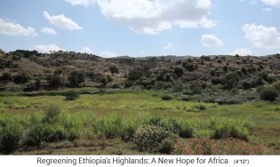 La provincia de Tigray en
                    Etiopa se vuelve verde de nuevo con la nueva
                    agricultura - con laderas boscosas