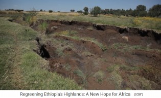 Provinz Oromia in
                      thiopien: Die Abholzung provoziert Erosion