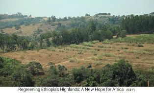 provincia de Oromia
                          en Etiopa: Los diques de tierra se plantan
                          con hierba para evitar la erosin.