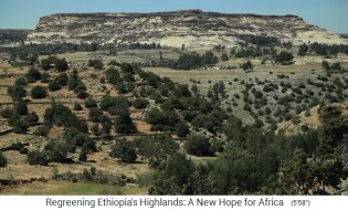 Die Provinz Oromia in
                      thiopien geniesst die neue Bewaldung