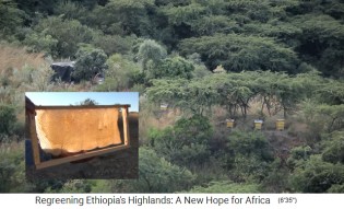 La
                    provincia de Oromia en Etiopa, la apicultura con
                    colmenas se hace posible