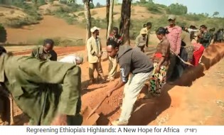 Etiopa: Los campos de baja inclinacin se
                    complementan con diques, presas, fosas y zanjas 2