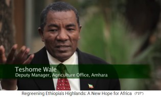 El Sr. Teshome
                    Wale, Subdirector Gerente de la Oficina Agrcola de
                    Amhara
