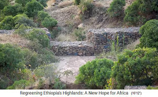Los altiplanos de Etiopa: Laderas de
                    alta montaa con surcos de agua para ralentizar el
                    flujo de agua