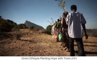 thiopien
                      Stiftung Green Ethiopia: Eine Gruppe geht los, die
                      grossen Baumsetzlinge pflanzen, um den Wald zu
                      erweitern