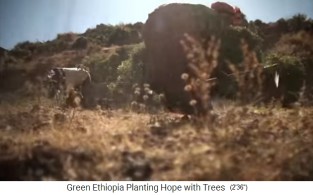 Wald
                        pflanzen: Eine Gruppe hackt Erdlcher in den
                        harten Wstenboden
