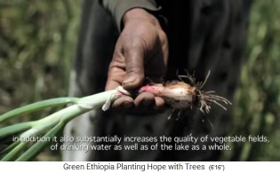 Lauch von einem Feld der Stiftung
                      Green Ethiopia