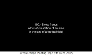 Tablero de texto: 100 francos
                                suizos permiten la forestacin de una
                                zona del tamao de un campo de ftbol
