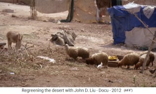Jordania: Los animales comen materia
                    orgnica