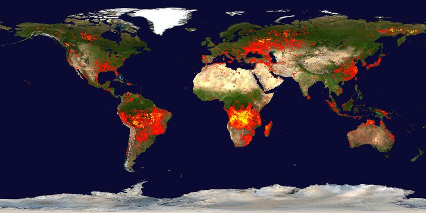 Waldbrandkarte (Satellitenbild) vom August 2010
