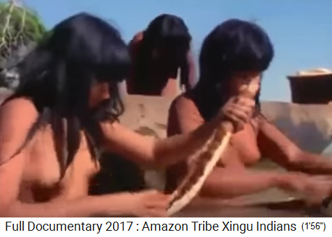 Mädchen ca. 14 Jahre alt oben ohne, Xingu-Ureinwohner im Amazonas