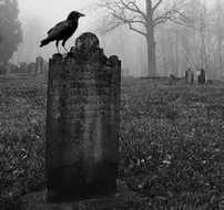 gravestone with raven bird in the fog
                      (mist)