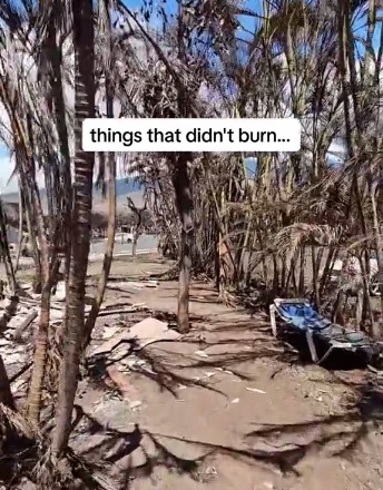 Hawaii, Insel Maui, Stadt Lahaina:
                      Ein blauer Liegestuhl blieb intakt - Video vom
                      23.8.2023