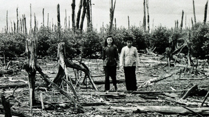 asesinado de bosque y selva durante la Guerra de
                Vietnam con Agent Orange: solo quedan troncos muertos