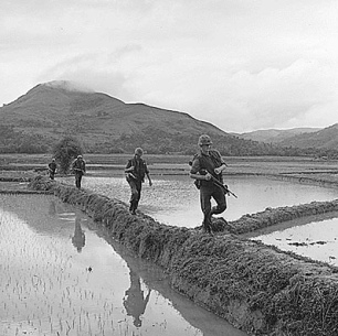 Soldados criminales de la OTAN en
              campos de arroz del Viet Cong