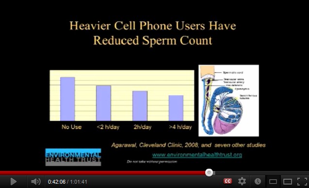 Studie von
              2008: Bei 4 Stunden tglichem Gebrauch ist die Anzahl
              lebender Spermien nur noch ca. 50%.