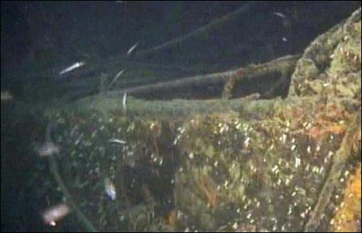 Das Wrack des Frachters "Cunsky" vor
                Kalabriens Kste, vermutlich mit Gift- oder Atommll
                beladen