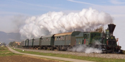 La gente admiraba a
                      una locomotora de vapor con su tren que sea un
                      grande progreso para la "libertad" ...