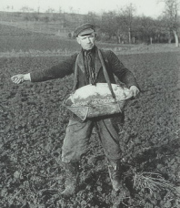 Un
                        campesino haba sembrado su campo y mat gansos,
                        grullos y una cigea