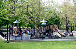 Tadpole Playground in the shadow
                                  of big trees, Boston, criminal
                                  "USA"