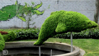 Animal sculpture of
                            hedges, Sinchi Roca Park (parque Sinchi
                            Roca) 01, dolphin, Lima, Peru