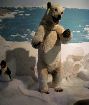 Theme railway in
                              Ibbenbueren 06, scenery in the ice with an
                              ice bear (Arctic) and with a penguin
                              (Antarctica)